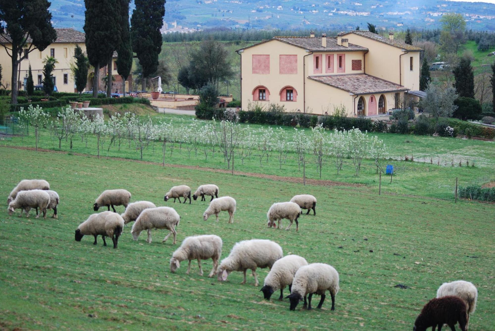 Agriturismo Fattoria Rozzalupi Cerreto Guidi Eksteriør billede