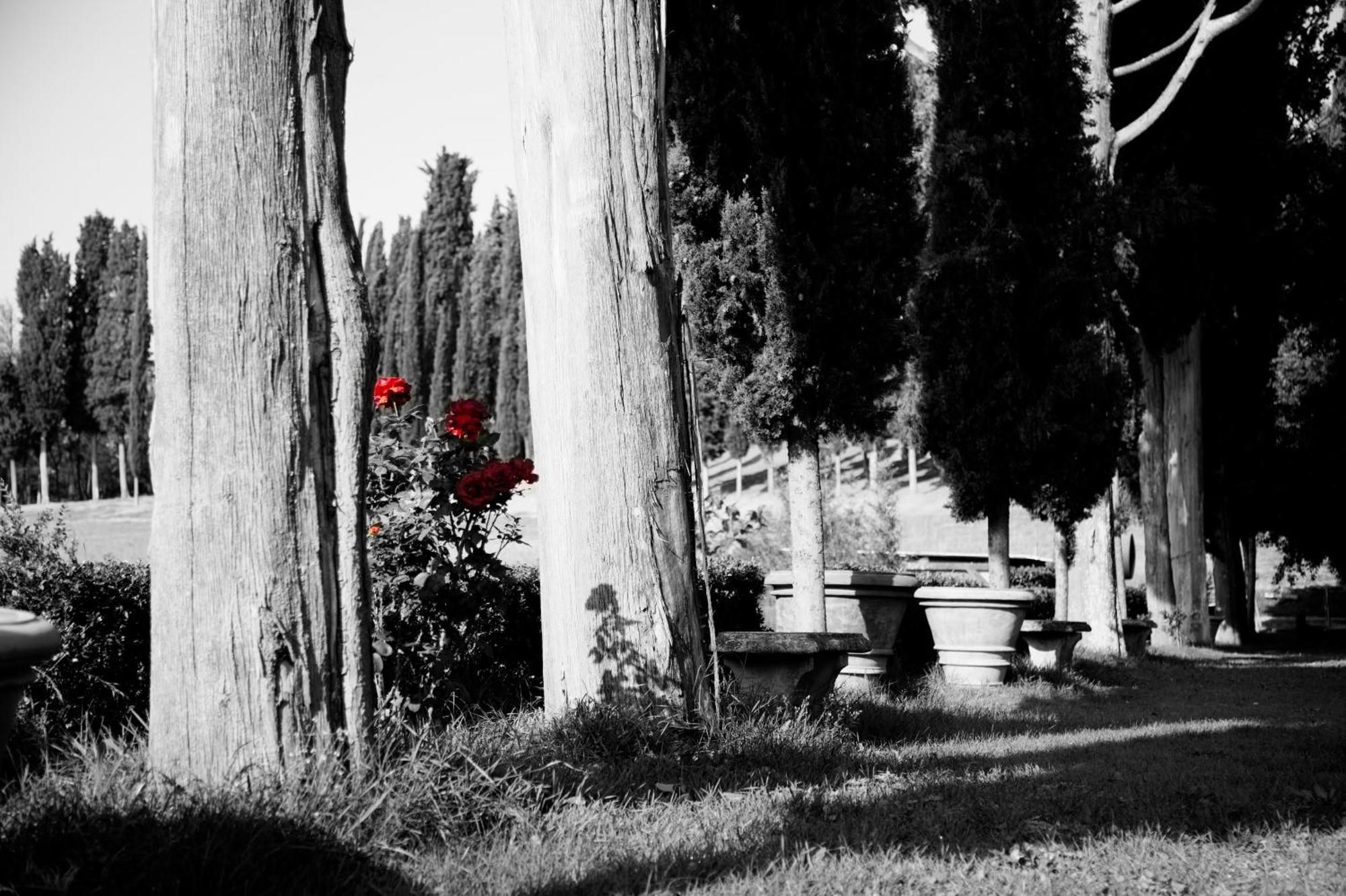 Agriturismo Fattoria Rozzalupi Cerreto Guidi Eksteriør billede